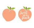 Simple Cute Peach with Leaves Vector Illustration